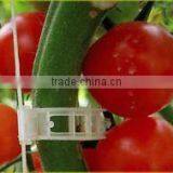 2017 Hot Sell Plant Support Clips for Vine Garden Vegetables thumbnail-3