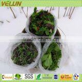 PP Crop Cover for Frost & Winter Protection(WJ-AL-0080)