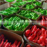 Plastic Snow Slinger Snowball Maker and Thrower, Ultimate Snowball Machine,Increases Throwing Distance,snowball Slingshot thumbnail-5