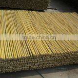 Drilled Bamboo Fence thumbnail-1