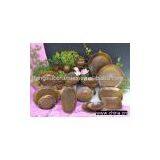 Japanese Style Dinner Set thumbnail-1