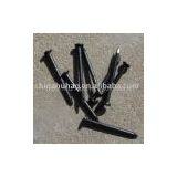 Galvanized Concrete Nail