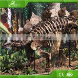 KAWAH Life Size Museum Exhibition Fiberglass 5M Dinosaur Skeleton Fossils thumbnail-4