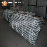 Q235 Ring Lock City Construction Scaffolding Ledger thumbnail-3