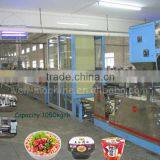 Mini Automatic Instant Noodle Processing Line