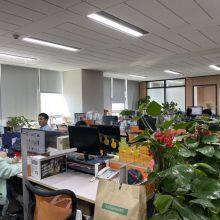 Xiamen XiongBa E-Commerce Co., Ltd. company overview - view 2 thumbnail