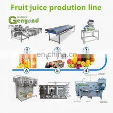 Factory Genyond Fruit Grape Paste Honey Jam Puree Syrup Processing Plant Grape Juice Production Line Making Machine Equipment thumbnail-5