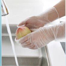 PVC Gloves Extended Version 12 Inches thumbnail-2