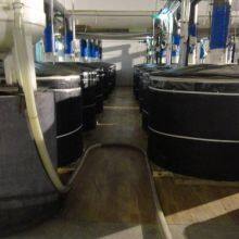 Shanghai Kaimikou Chemical Co., Ltd. company overview - view 1 thumbnail