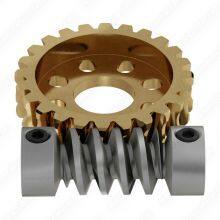 Custom Worm and Gear - Multiple Types, Made-to-Order for Precision Motors, Robotics & New Energy Vehicle Drivetrains