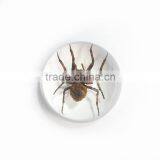 Promotional Gifts Clear Semicircle Crystal Desktop Ornament thumbnail-4