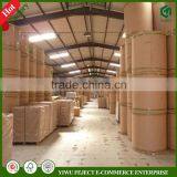 Custom-Made 28-140gsm Poly Coated Kraft Paper Rolls, PE Laminated Offset Paper, PE Coated Food Paper, FDA, Greaseproof, Hot Melt thumbnail-4