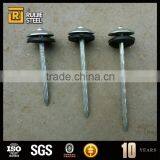 Nails for Construction/Galvanized Iron Nails,umbrella Head Roofing Nails Quality Choice