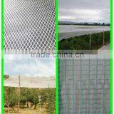 High Quality White Plastic Virgin Anti Hail Mesh for Protection Apple Against Hail thumbnail-4