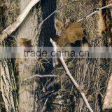 Unique&Special DAZZLE NO.DGMA372-1 Tree Bark Camo Hydrographic Film Hydrographics Water Transfer Printing Film thumbnail-2