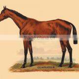 Gladiateur 20x30 Poster thumbnail-1