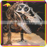 KANO2196 Museum Standard Artificial Life Size Animal Skeleton thumbnail-3