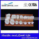 4 Times Teeth Model Dental Models DEA-42 thumbnail-2