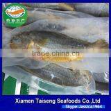 Frozen Seafoods Frozen Yellow Croaker thumbnail-2