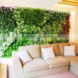 Widely Use Beautiful Garden Green Wall thumbnail-5
