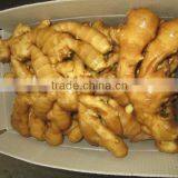 China New Fresh Ginger for Export thumbnail-1