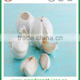 Fresh White Garlic From Chinese Garlic Hometown Jinxiang thumbnail-3