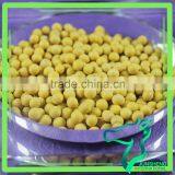 High Quality Brazil Soybean