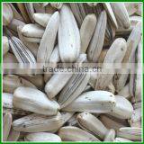 Sale Roasted and Spiced White Striped Sunflower Seeds In Bulk thumbnail-3
