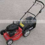 Lawn Care Products thumbnail-1