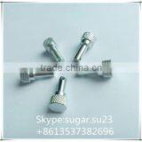 China Fasteners Screw thumbnail-1