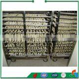 Sanshon SSJ Tunnel Fruit Dehydration and Home Food Drying Machine thumbnail-3