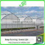 Poly Tunnel Green House thumbnail-6