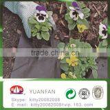 Biodegradable Weed Control Fabric for Gardening and Agriculture thumbnail-3