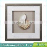 Chinese Nautilus Shells Graphic Art Shadow Box Gift Ideas Wall Decor thumbnail-3
