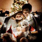 Warm White Star Blinking Not on the High Street Wellfaith Factory Copper String Light Supplier Holiday Christmas Deco thumbnail-5