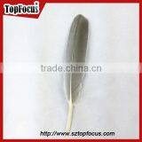 Cheap Colorf Cleaning Goose Artificial Feathers for DIY Sale Cheap thumbnail-4