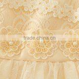 New Arrival Fashion Design Small Girls Dress Lace Princess Baby Girls Flower Sexy Dresses Kids Clothes thumbnail-5