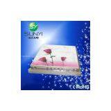 Supply New Style Led Ceiling Light thumbnail-1