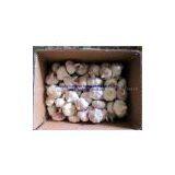 Fresh Garlic thumbnail-1