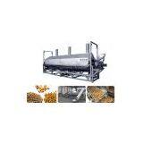 DBG Continuous Fryer