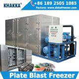 Blast freezer for fish  low temperature shelf plate contact freezer