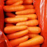 Fresh Carrots thumbnail-2