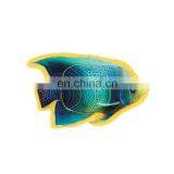 Funny Colorful Tropical Fish Shape Soft Plush Cat Toy thumbnail-1