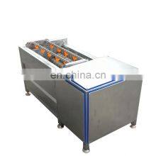 Vegetable Carrot Brush Washing Cleaning Machine Potato Ginger Brush Roller Washer and Peeler Machine