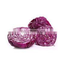 Free Sample Food Additives Organic10:1 Purple Cabbage Extract thumbnail-2