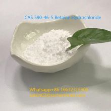 CAS 590-46-5 Feed Additives Betaine Hydrochloride 98% Powder Betaine HCL