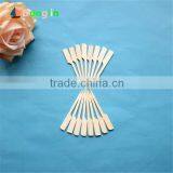 Biodegradable Flat Bamboo Skewer for BBQ Using