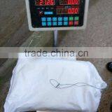 Frozen Peru Giant Squid thumbnail-3