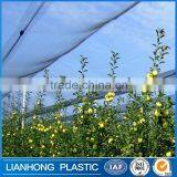 Made in China Anti Hail Net, Anti Hail Netting for Agriculture, 2016 Hot Sale Agricultural HDPE Anti Hail Nets Supplier's Choice thumbnail-4