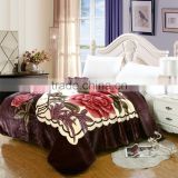 100 polyester super soft Household blanket double printed                        
                                                Quality Choice